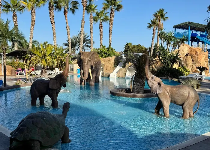 Appartement La Ola *